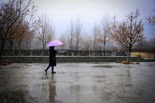 بارش باران و وزش باد شدید در تهران