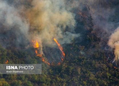 لزوم اعمال محدودیت برای ورود افراد به جنگل ها برای پیش گیری از آتش سوزی