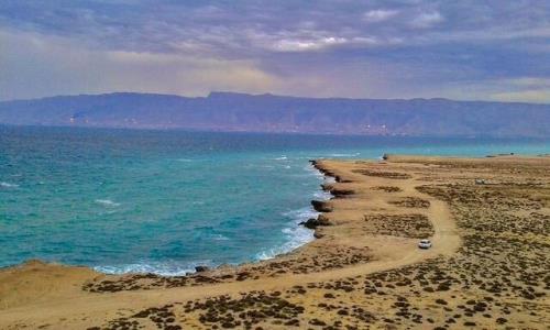 بر تالاب و جنگل حرای نای بند چه می گذرد