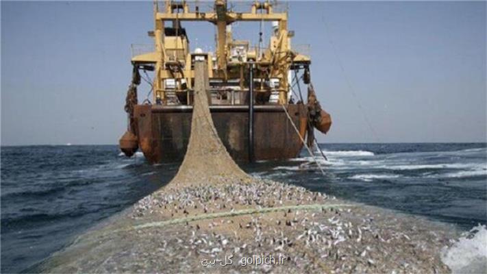 تنوع زیستی خلیج فارس در شرایط بحرانی