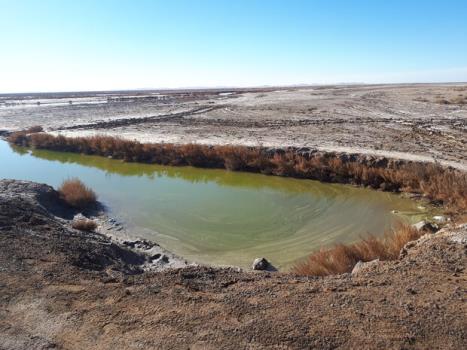 حقابه های محیط زیست همیشه حذف گردیده است