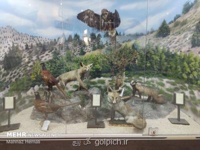 افتتاح دو خانه محیط زیست دیگر در پایتخت