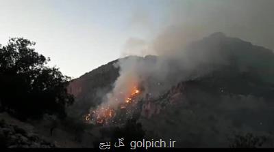 جنگل های نارك گچساران همچنان می سوزند بعلاوه عكس