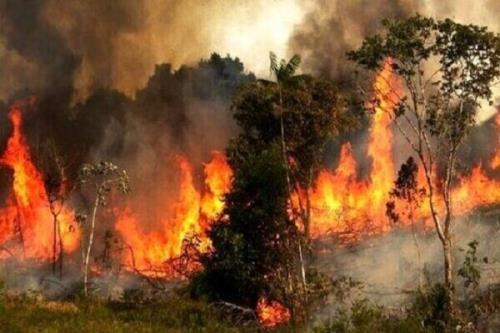 اطفاء آتشسوزی در مناطق طبیعی کلیبر با هواپیمای ایلوشین