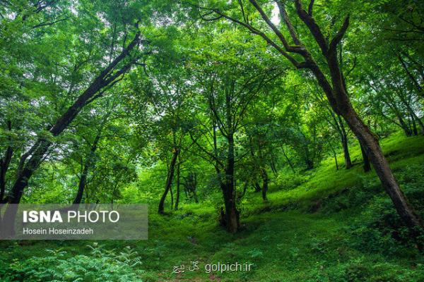 پنج نکته درباره منطقه اکولوژیک هیرکانی یا خزری