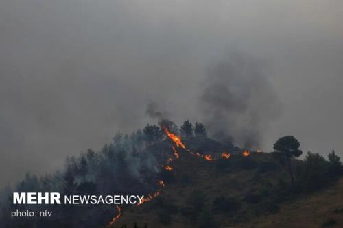 مصدوم آتش سوزی ارتفاعات هایقر جان باخت
