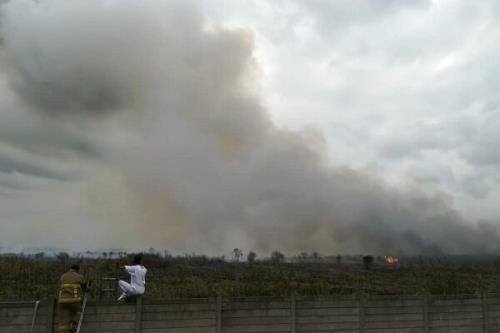 آتش به جان تالاب انزلی افتاد