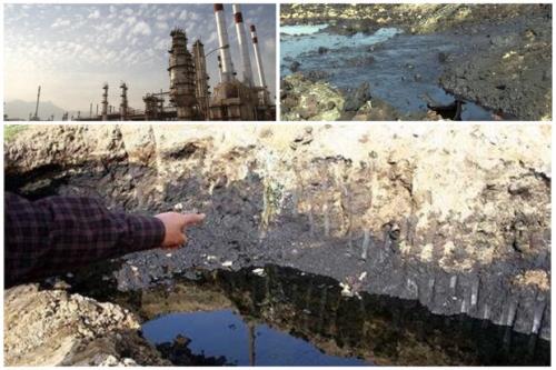 200 هزار تن خاک آلوده به مازوت در پناهگاه حیات وحش