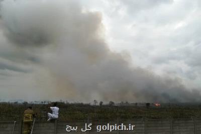 آتش به جان تالاب انزلی افتاد