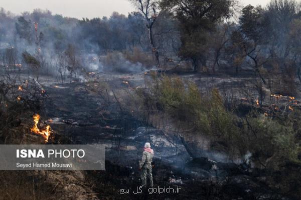 آتش در سایت گوزن زرد ایرانی