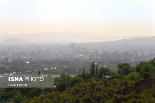 سایه ترسناکی که قربانی هم می گیرد