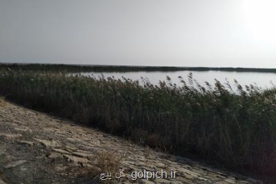 وضعیت نابسامان فاضلاب در گناوه