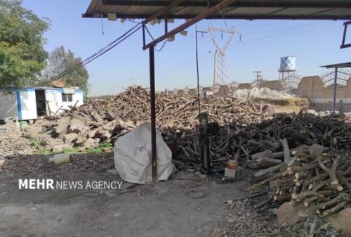 کشف انبار دپوی چوب های بومی و جنگلی در دزفول