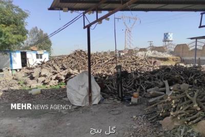 کشف انبار دپوی چوب های بومی و جنگلی در دزفول