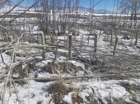 شمشیر دولبه ساماندهی زاینده رود