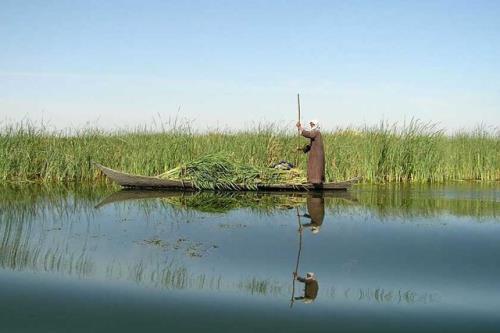 دیپلماسی آب راه نجات رودخانه های مرزی