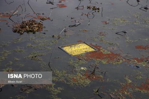 13نکته درباره آلودگی تالاب ها