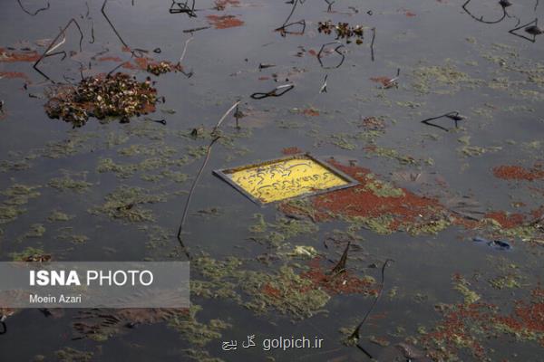 13نکته درباره آلودگی تالاب ها