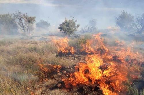 حریق در 10هکتار از مراتع کجین دشت دامغان