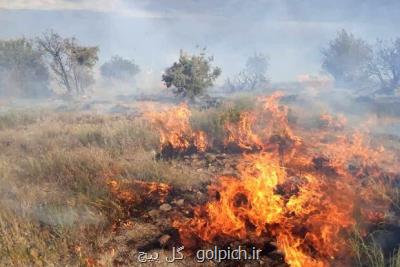 حریق در 10هکتار از مراتع کجین دشت دامغان