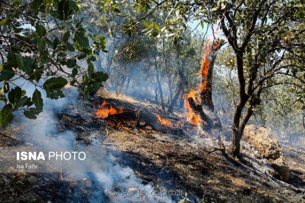 بیش از 3400 هکتار از جنگل های منابع طبیعی کهگیلویه و بویراحمد طعمه حریق شد
