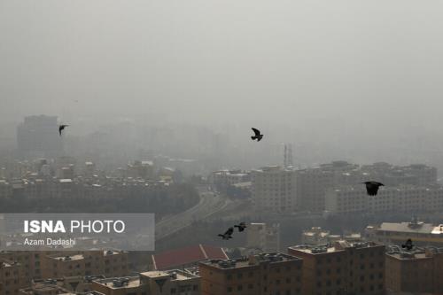 ادامه افزایش آلاینده ها و کاهش کیفیت هوای تهران
