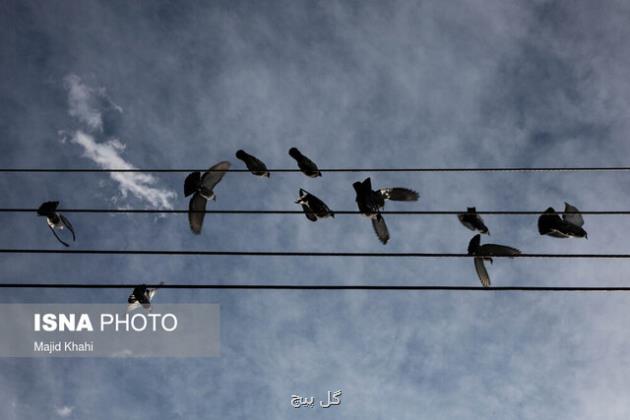 ۱۹ ایستگاه سنجش کیفیت هوای تهران در وضعیت قابل قبول