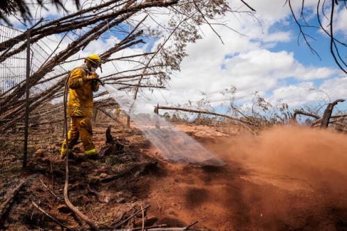 افزایش تلفات آتشسوزی ها در هاوایی