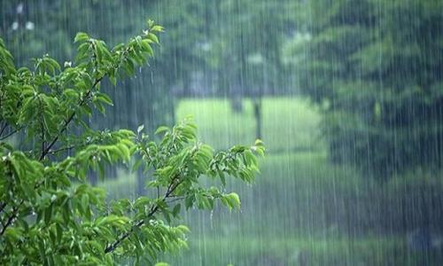وزش باد و رگبار باران در بعضی استان ها