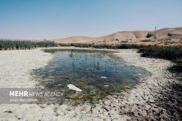 شاهراه پرندگان در راه نابودی