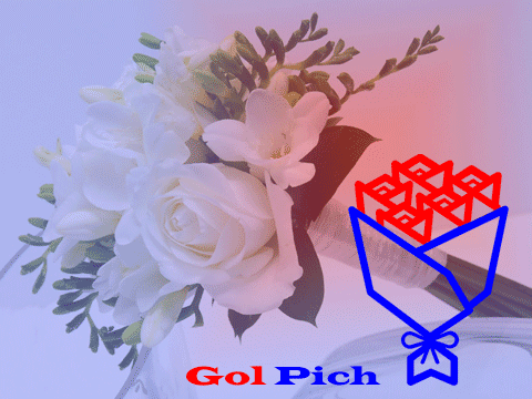 فرود 70 درنای خاکستری در آبگیرهای میاندشت جاجرم