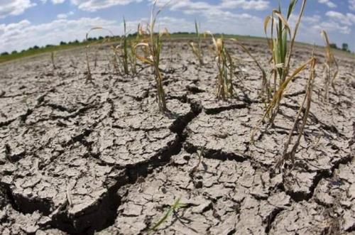 تشدید خشکسالی در ایران از ۳۰ سال قبل شروع شده است