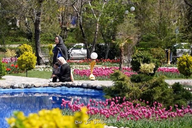 ویدیو، باغ گل های لاله در اراک