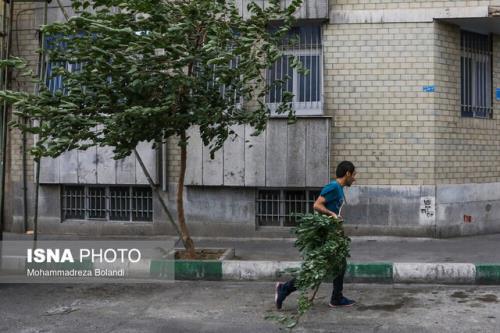 ادامه وزش باد شدید و خیزش گرد و خاک در تهران