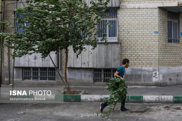 ادامه وزش باد شدید و خیزش گرد و خاک در تهران