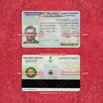 Denmark Driver Licence Fake Template