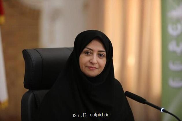 تصویب مصوبه بازار کربن در دولت بزودی