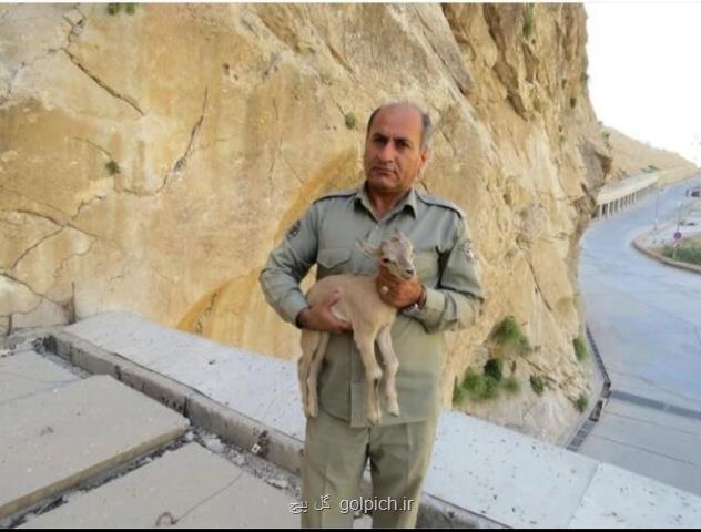 توضیحات دادستان یاسوج در رابطه با پرونده شهادت محیط بان خاییز