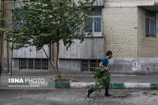احتمال توفان های تندری در بعضی نقاط استان تهران