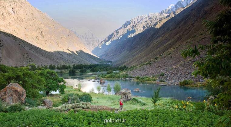 شینا انصاری از دستور ویژه پزشکیان رونمایی نمود