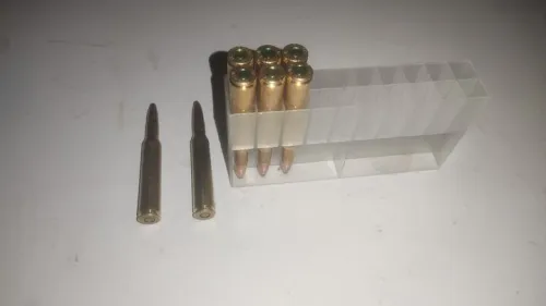 شکارچیان متخلف در پناهگاه حیات وحش صیدوا به دام افتادند