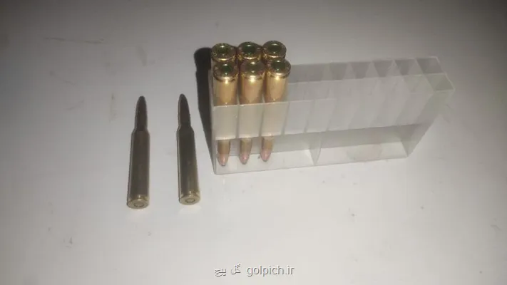 شکارچیان متخلف در پناهگاه حیات وحش صیدوا به دام افتادند