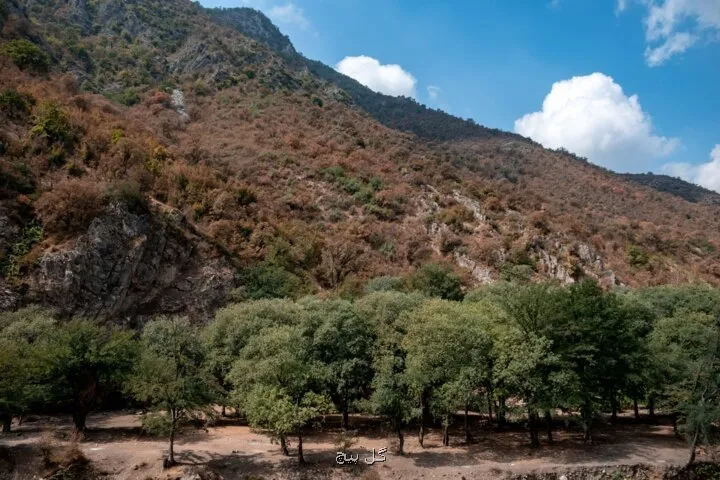 ممنوعیت هیرکانی انبار باروت است طبیعت گردی در مازندران تا اطلاع بعدی