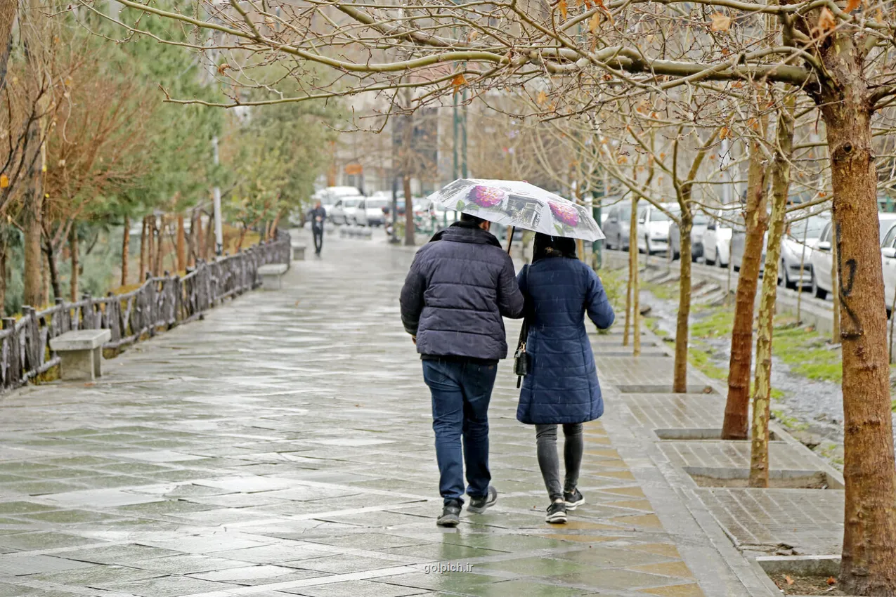 بیشترین رشد بارندگی ها برای کدام استان است؟