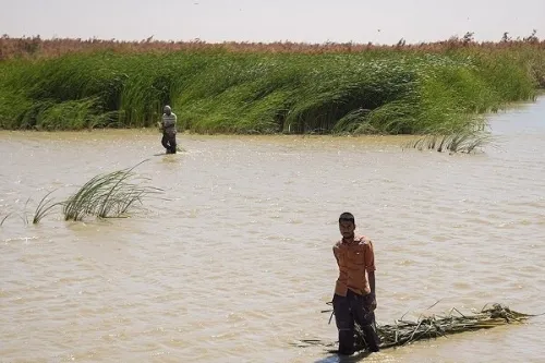 تشکیل ستاد هماهنگی و مدیریت تالاب های کشور در سطح ملی