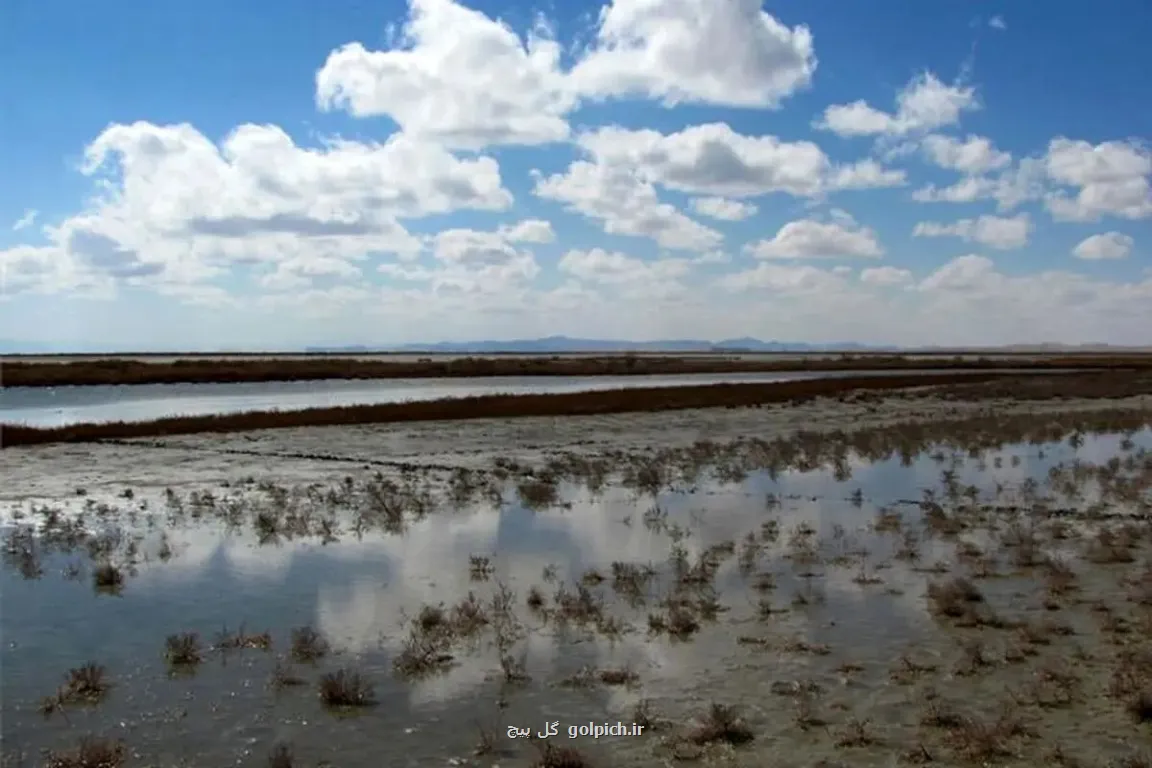 بارش های به داد کدام تالاب ها رسید؟