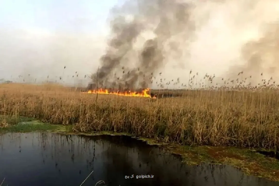 هشدار تکرار آتشسوزی های یک تالاب در تابستان پیش رو