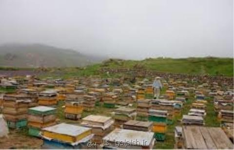 سفارش های زمستانی هواشناسی كشاورزی