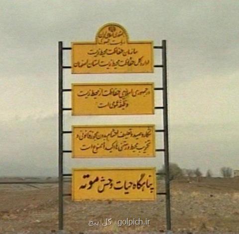 بی خانمانی 11 هزار آهو بعلاوه فیلم