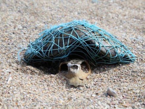 تا سال ۲۰۵۰، دریاها بیشتر حاوی پلاستیك خواهند بود تا ماهی
